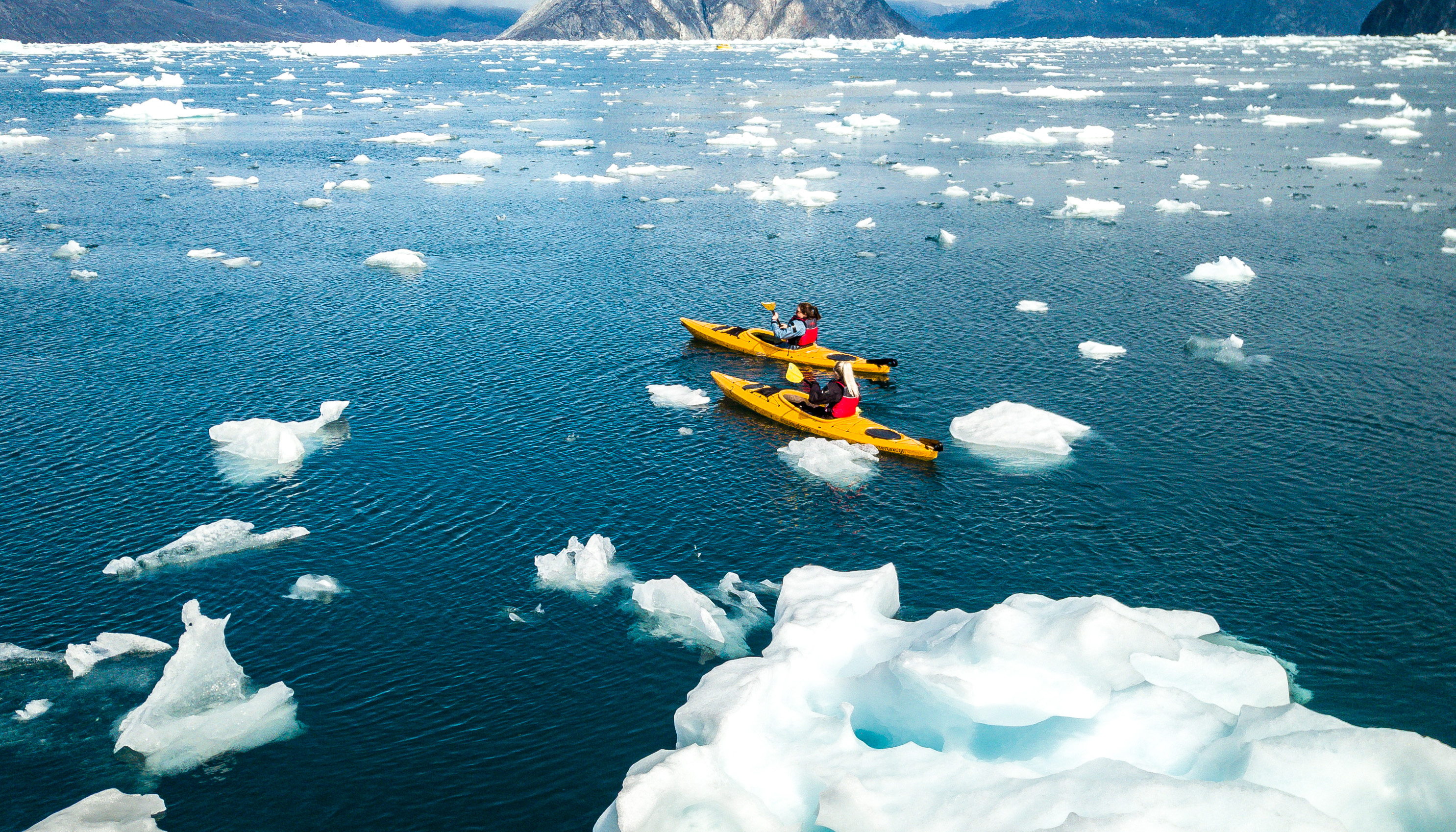 SUP and kayak among icebergs