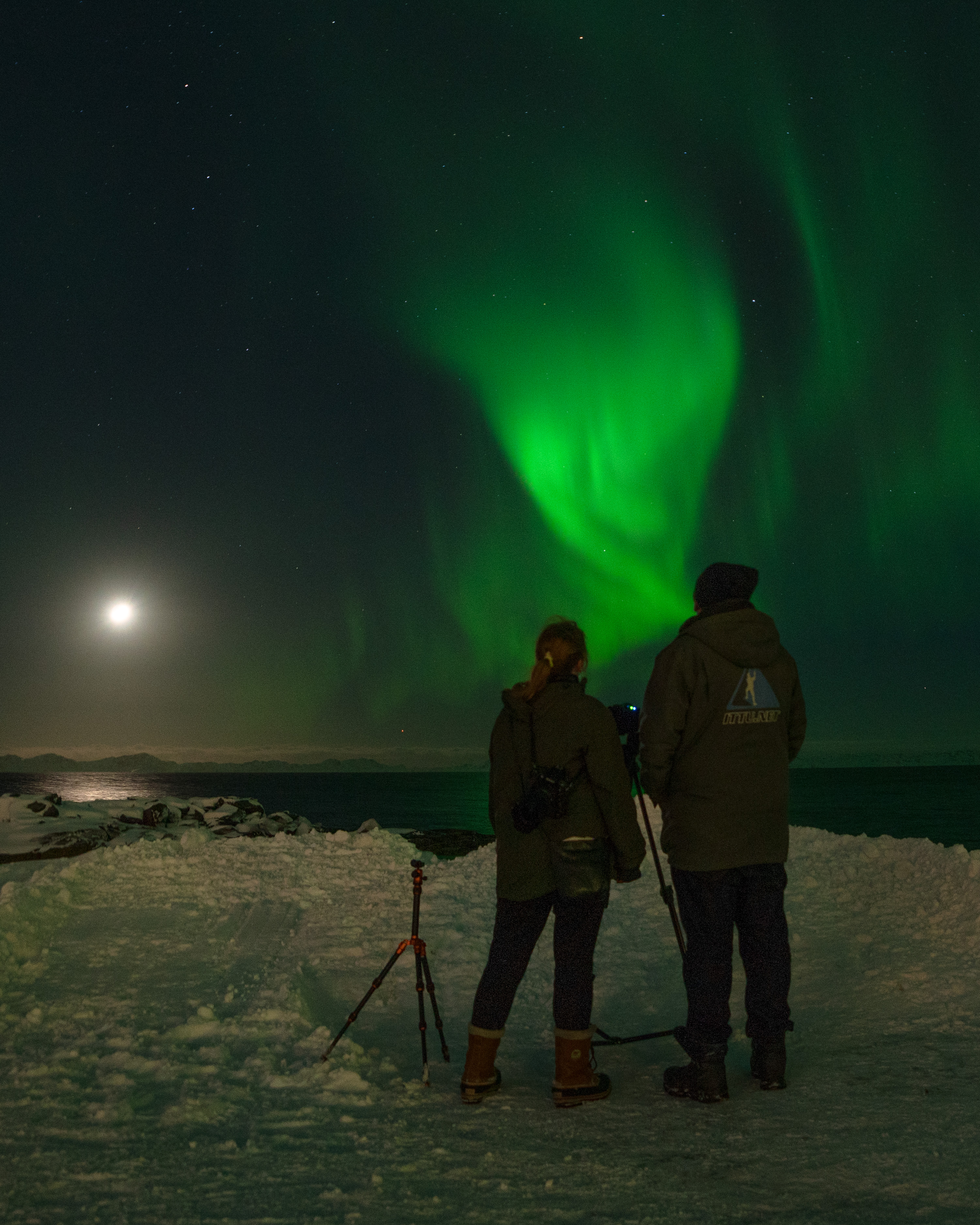 Northern lights tour by car