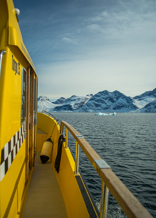 Nuuk Water Taxi - Whale Safari